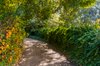 Real Estate and Property in 131 Shannons Lane, Kerrie, VIC