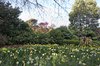 Real Estate and Property in 131 Shannons Lane, Kerrie, VIC