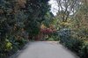 Real Estate and Property in 131 Shannons Lane, Kerrie, VIC