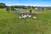 1319 Bullamalita Road, Quialigo NSW 2580  - Photo 16