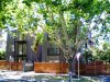 1/34 Crimea Street, St Kilda VIC 3182 