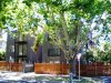 1/34 Crimea Street, St Kilda VIC 3182 