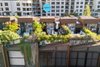 13/56 Mount Street, Pyrmont NSW 2009  - Photo 20