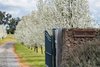 1372 Bullamalita Road, Quialigo NSW 2580 