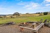 1372 Bullamalita Road, Quialigo NSW 2580  - Photo 22