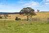 1372 Bullamalita Road, Quialigo NSW 2580  - Photo 24