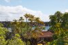 14 Redgum Avenue, Cronulla NSW 2230  - Photo 3