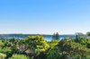 14 Village High Road, Vaucluse NSW 2030  - Photo 3