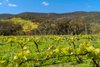 Real Estate and Property in 140 Ennis Road, Tallarook, VIC