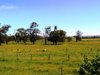 https://images.listonce.com.au/custom/l/listings/141-jarrahmond-road-orbost-vic-3888/405/00512405_img_13.jpg?w0GNIuEPoAE