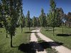 Real Estate and Property in 1421 Kyneton Springhill Road, Spring Hill, VIC