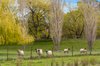 Real Estate and Property in 15 Balls Lane, Kyneton, VIC