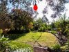 https://images.listonce.com.au/custom/l/listings/15-belchers-lane-connewarre-vic-3227/479/00473479_img_20.jpg?PbXNYrU0mRE