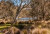 https://images.listonce.com.au/custom/l/listings/15-belfast-street-newtown-vic-3220/516/01913516_img_11.jpg?a-C55U2uqzw