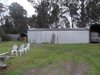 https://images.listonce.com.au/custom/l/listings/15-buntines-lane-lindenow-south-vic-3875/999/00510999_img_04.jpg?2G9ccww72nk