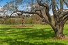 Real Estate and Property in 152 Donnelly Road, Kyneton, VIC