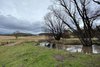 https://images.listonce.com.au/custom/l/listings/1525-limestone-road-benambra-vic-3900/013/01261013_img_11.jpg?nCzOi3mhl60