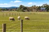 Real Estate and Property in 153 Flynns Lane, Kyneton, VIC