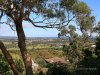Real Estate and Property in 16 Brighton Crescent, Mount Eliza, VIC