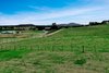 https://images.listonce.com.au/custom/l/listings/16-davidson-drive-wy-yung-vic-3875/706/01739706_img_23.jpg?rzVtgTmChSo