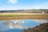 Real Estate and Property in 1629 Hamilton Highway, Murgheboluc, VIC