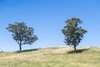 165 Richards Lane, Joadja NSW 2575  - Photo 33