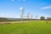 1669 Caoura Road, Tallong NSW 2579  - Photo 12