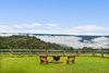 1669 Caoura Road, Tallong NSW 2579  - Photo 18