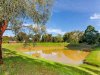 Real Estate and Property in 1781 Barrabool Road, Gnarwarre, VIC