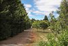 Real Estate and Property in 179 Short Road, Gisborne, VIC