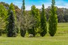 Real Estate and Property in 181 Black Forest Drive, Macedon, VIC
