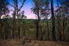 181 Old Coowong Road, Canyonleigh NSW 2577  - Photo 6