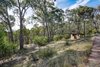 Real Estate and Property in 181 Skyline Road, Bend Of Islands, VIC