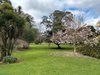 Real Estate and Property in 1852 Maroondah Highway, Buxton, VIC