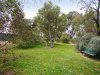 https://images.listonce.com.au/custom/l/listings/1870-hendy-main-road-moriac-vic-3240/988/00473988_img_07.jpg?T1prwPpJoAI