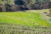 Real Estate and Property in 188 Nobles Road, Gnarwarre, VIC