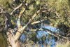 Real Estate and Property in 188 Nobles Road, Gnarwarre, VIC