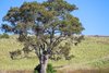 Real Estate and Property in 188 Nobles Road, Gnarwarre, VIC