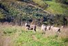 Real Estate and Property in 188 Nobles Road, Gnarwarre, VIC