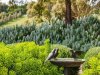 Real Estate and Property in 190 Whitcombes Road, Drysdale, VIC