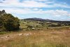 Real Estate and Property in 195 Malones Road, Nulla Vale, VIC