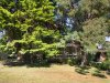 Real Estate and Property in 20 Churchill Drive, Mooroolbark, VIC