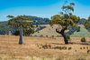 Real Estate and Property in 20 Evans Road, Tylden, VIC