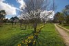 Real Estate and Property in 201 Trio Road, Kyneton, VIC