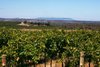 Real Estate and Property in 208 Faraday-Sutton Grange Road , Faraday, VIC