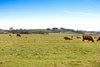 Real Estate and Property in 209 Boundary Road, Romsey, VIC