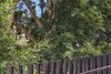2102/18 Ocean Street North, Bondi NSW 2026  - Photo 18