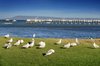 Real Estate and Property in 2/12 Hayes Avenue, Sorrento, VIC
