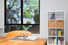 2/170 Church Street, Newtown NSW 2042  - Photo 5