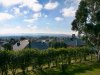 Real Estate and Property in 22 Wyralla Crescent, Gisborne, VIC